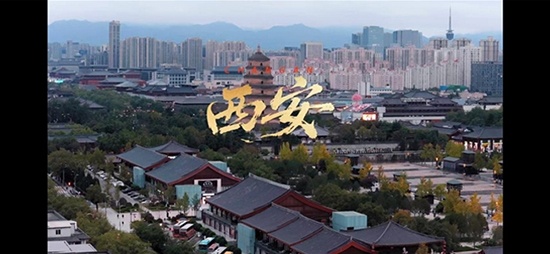 ʳBվȾ̼ˮʳBЇžƽiŶ+؝ǻ